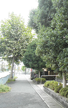年間管理写真